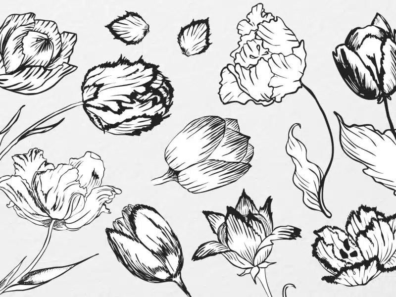 tullips