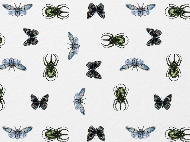 Entomology Seamless Pattern